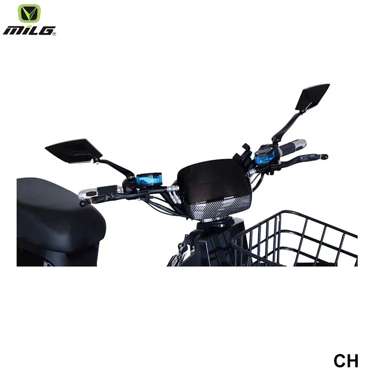 lithium battery cargo street moped6